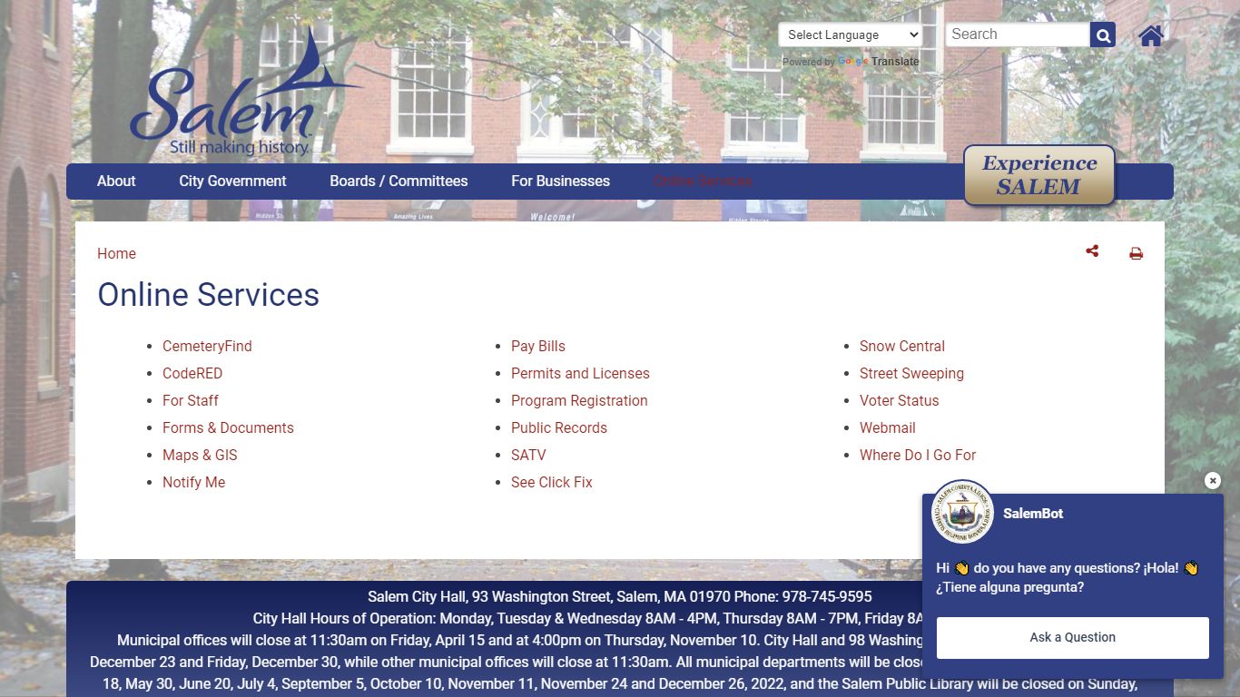 Online Services | salemma